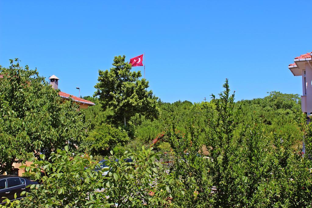 Agva Sahil Yildizi Hotel Exteriér fotografie